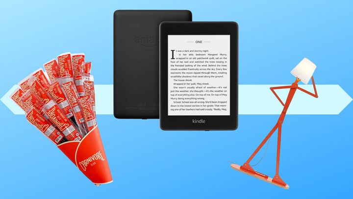  A jerky bouquet, Kindle Paperwhite and stick figure lamp
