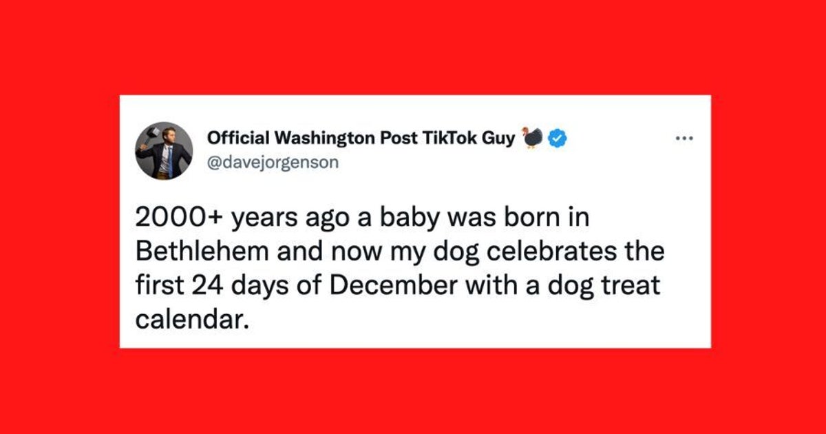 21 Of The Funniest Tweets About Cats And Dogs This Week 21 Of The Funniest Tweets About Cats And Dogs This Week