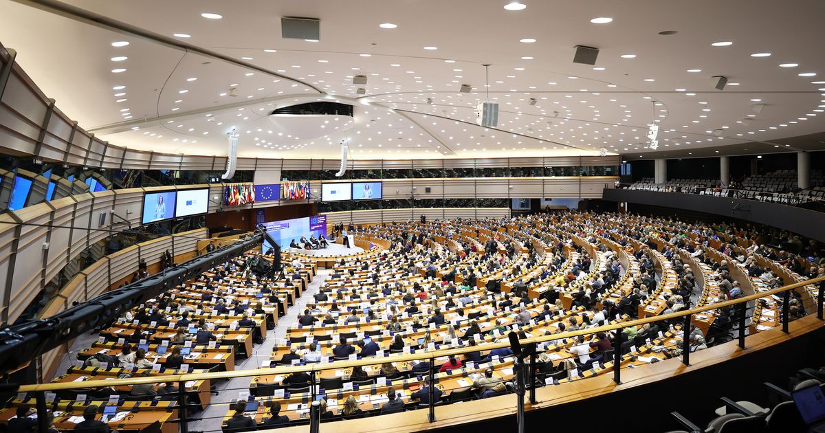 Выборы в Европарламент 2019 Франция. Выборы в Европарламент 2024. Евроскептики в Европарламенте. Выборы в Европарламент 2024 Латвия.