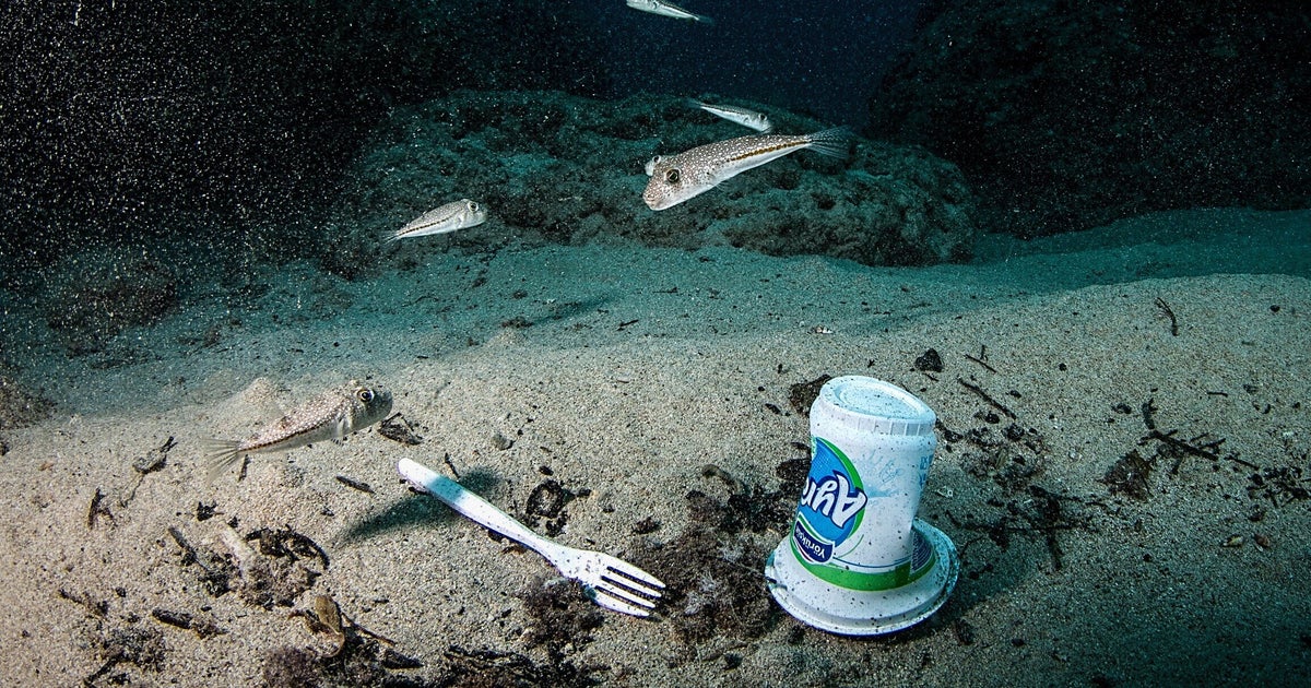 UK Mulls Ban On Many Single-Use Plastics In England