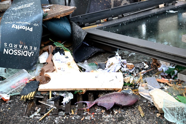 A fish lays in debris in front of a hotel where thee aquarium burst.