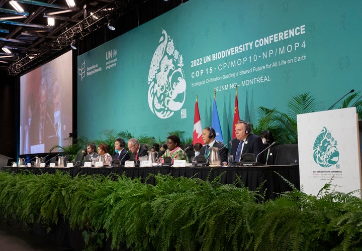 The head table gets set to open the high level segment at the COP15 biodiversity conference, in Montreal, Thursday, Dec. 15, 2022. (Ryan Remiorz/The Canadian Press via AP)