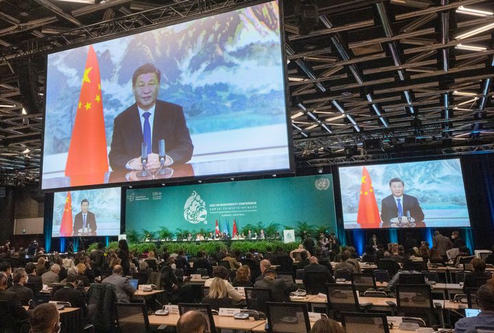 Chinese President Xi Jinping makes a video address at the opening of the high level segment at the COP15 biodiversity conference, in Montreal, Thursday, Dec. 15, 2022. (Ryan Remiorz/The Canadian Press via AP)