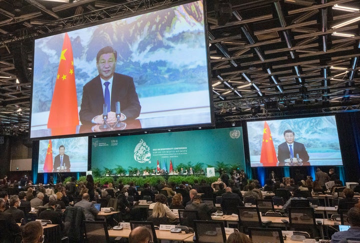 Chinese President Xi Jinping makes a video address at the opening of the high level segment at the COP15 biodiversity conference, in Montreal, Thursday, Dec. 15, 2022. (Ryan Remiorz/The Canadian Press via AP)