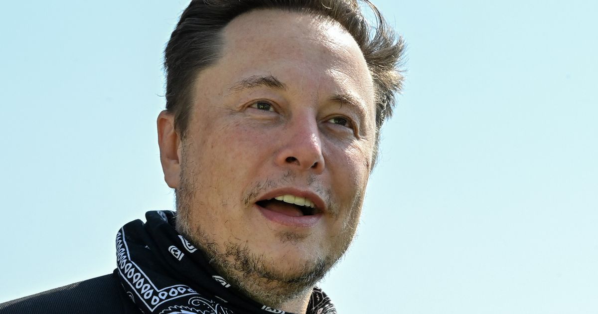 Twitter torréfie Elon Musk pour avoir publié sa position à la Coupe du monde