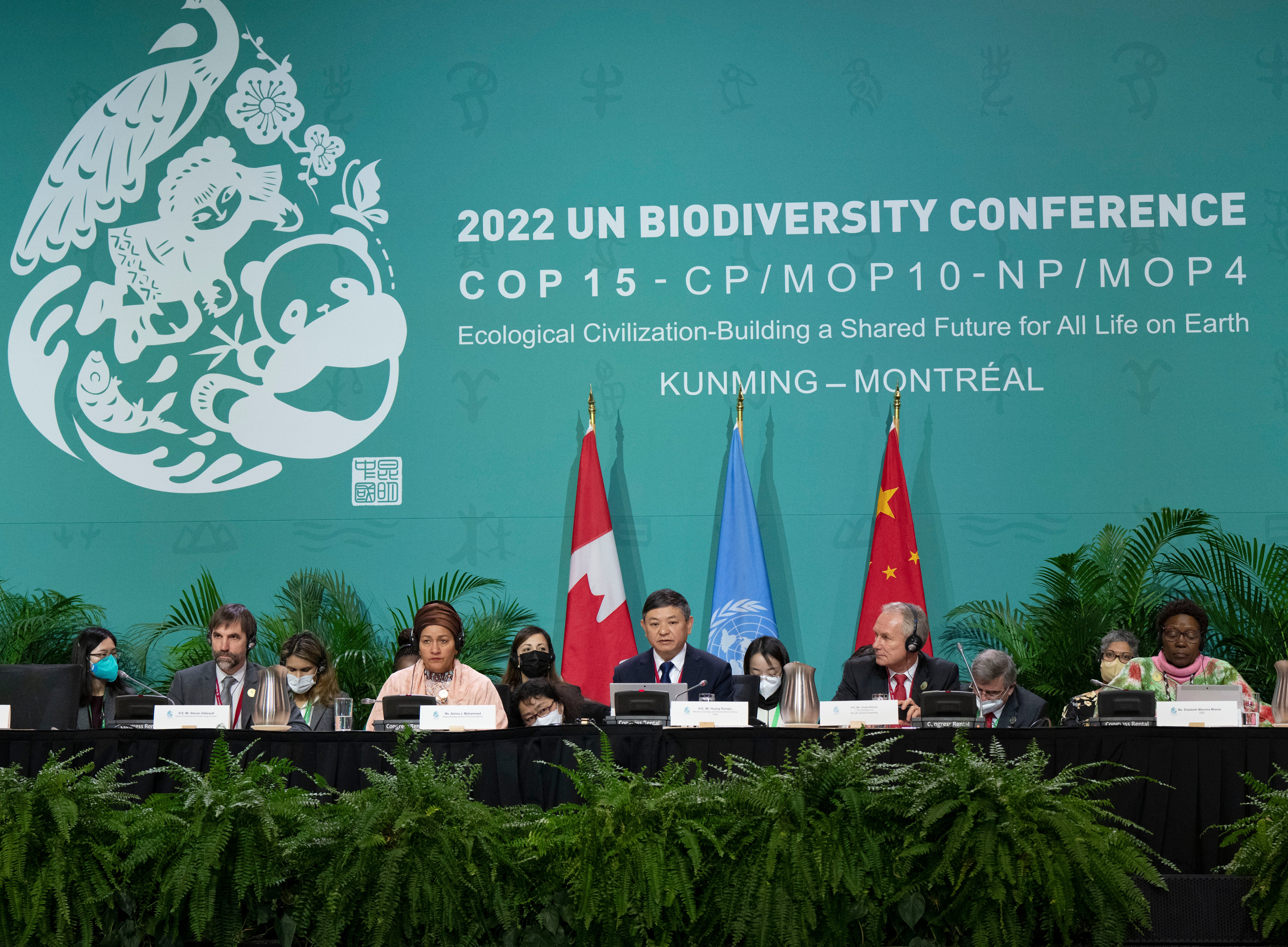 Historic Biodiversity Agreement Reached At UN Conference | HuffPost ...