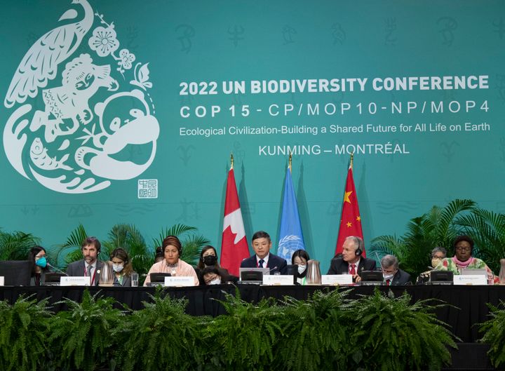 Chairman Huang Runqiu, Chinese Minister of Ecology and Environment, center, opens the high-level segment at the COP15 Biodiversity Conference in Montreal, December 15, 2022.