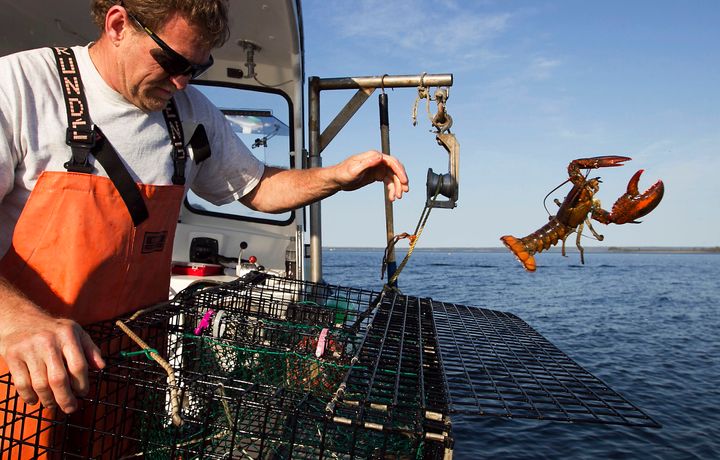 Maine's congressional delegation pushed for a measure that would help the lobster industry. 