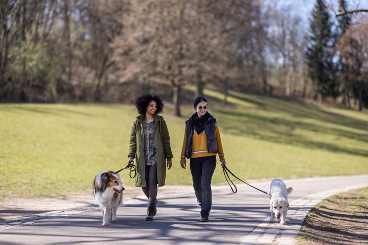 Walking can lift your mood and improve circulation, experts say.