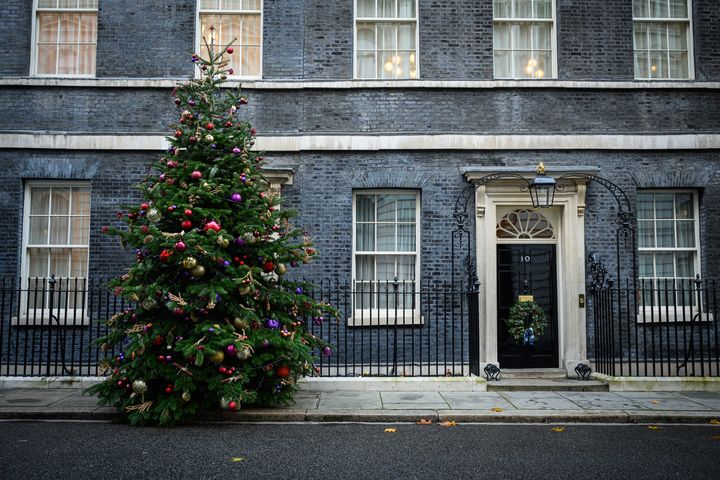 The Christmas tree outside Number 10.