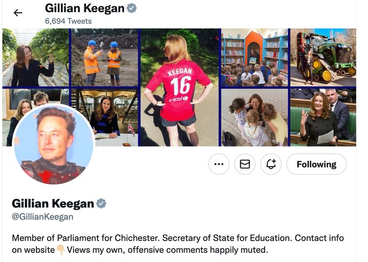 Gillian Keegan's Twitter picture was replaced with Elon Musk's.