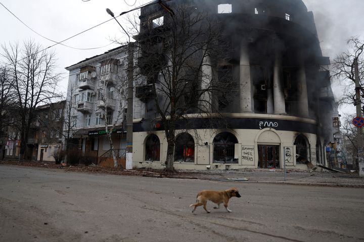 Ένας σκύλος περνάει δίπλα από ένα κτίριο που κάηκε, καθώς η επίθεση της Ρωσίας στην Ουκρανία συνεχίζεται, στο Μπαχμούντ, 26 Δεκεμβρίου 2022. REUTERS/Clodagh Kilcoyne