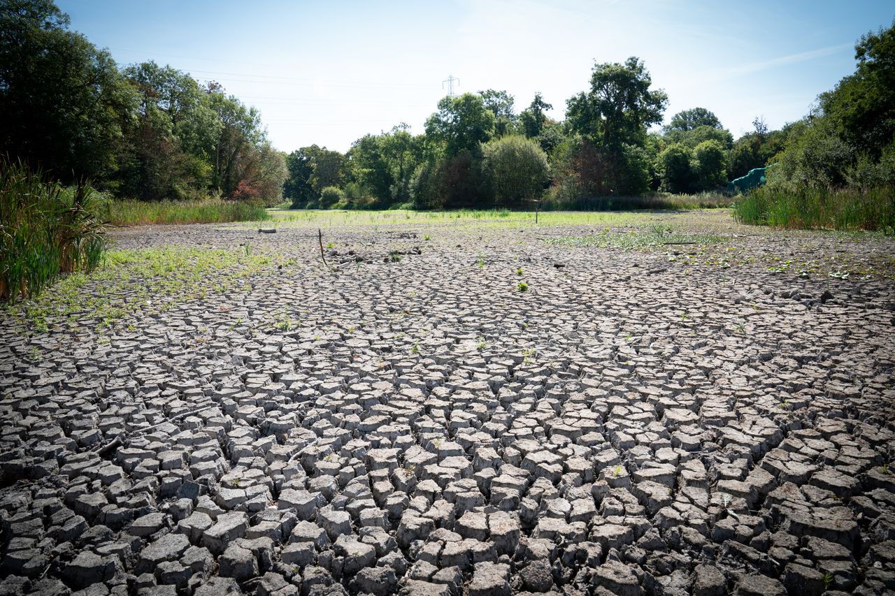 A dried up lake in Wanstead Park, north east London on August 8, 2022.