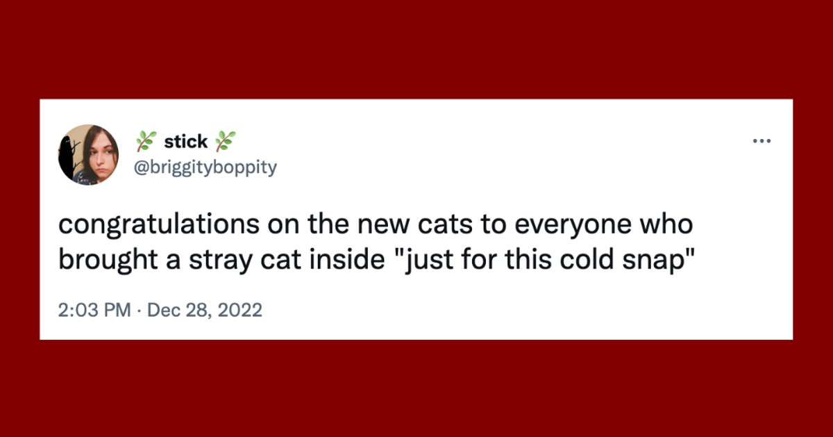 23 Of The Funniest Tweets About Cats And Dogs This Week | HuffPost ...