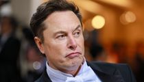 Elon Musk Becomes First Person In History To Lose $200 Billion: Report - HuffPost