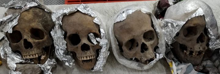 Four human skulls wrapped in plastic and aluminum foil are seen during an inspection by the National Guard inside a package bound for the United States at a courier company located at the Queretaro Intercontinental airport, in Queretaro, Mexico in this photo distributed on December 30, 2022. Mexico's Guardia Nacional/Handout via REUTERS