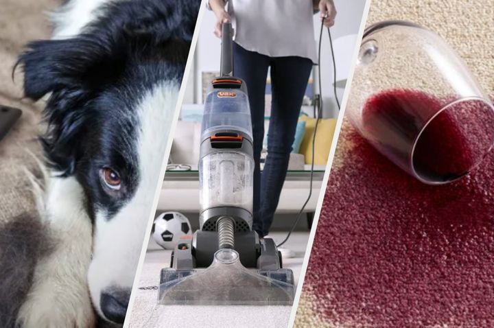 Carpet cleaning solutions for every mishap