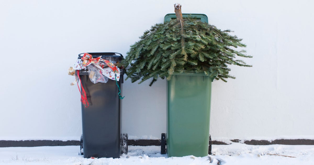 When Should You Take Down Your Christmas Tree? Eat It Instead