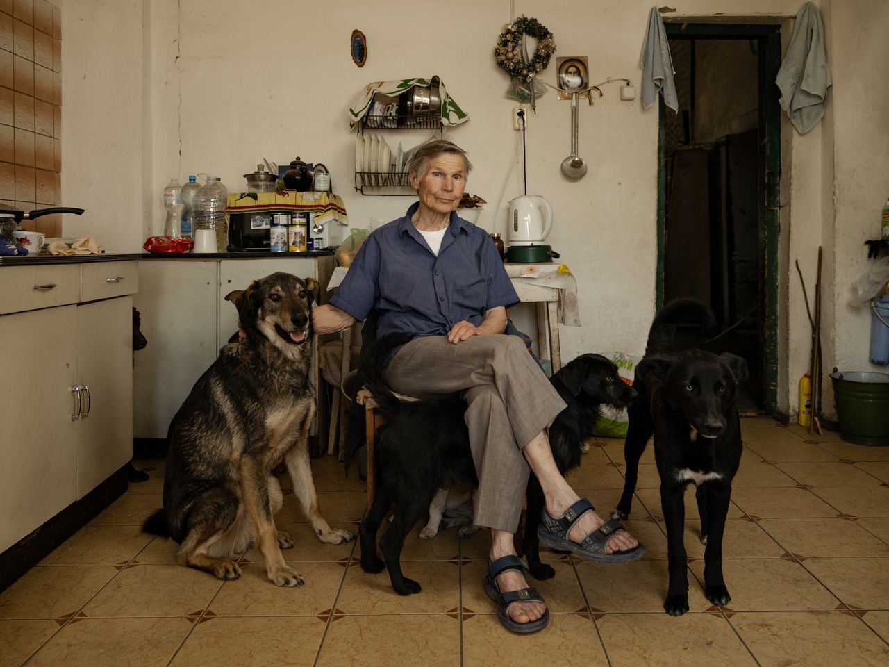 Asia Sepinska, 77, sits surrounded by dogs at her animal shelter in Hostomel, Ukraine.
