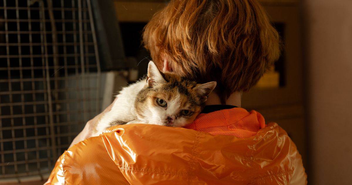 Photos Of Animals Rescued In Ukraine War