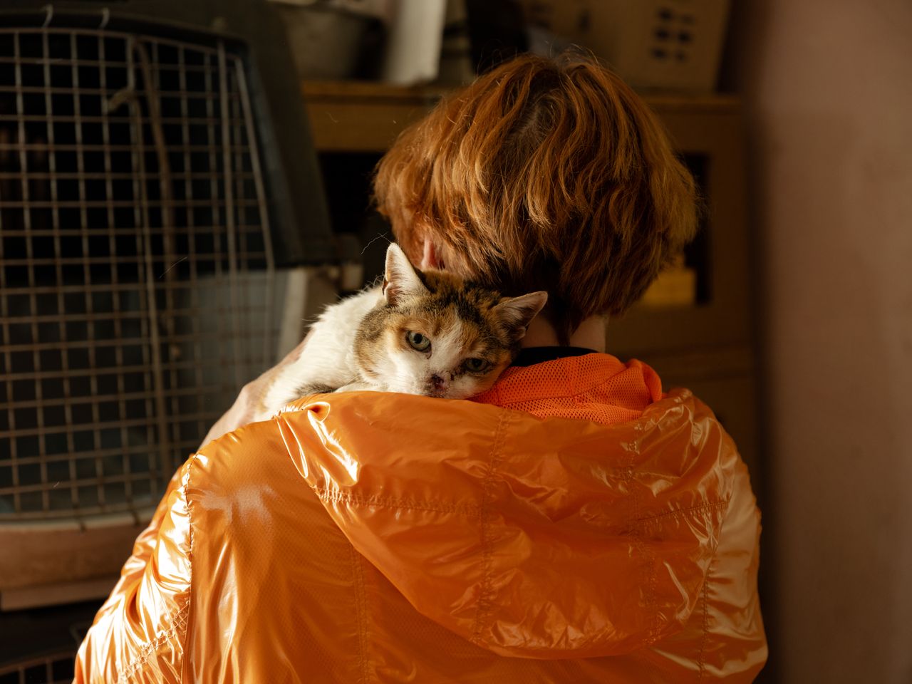 Maryna Shumeiko, 46, holds an injured cat that was rescued after the Russian occupation of Kyiv at her shelter, CatDog, in Ivankiv, Ukraine.