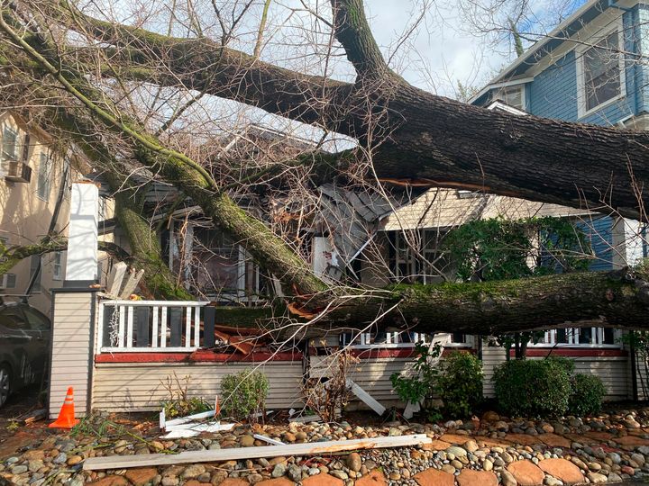 A tree collapsed and ripped up the sidewalk damaging a home in Sacramento, Calif., on Jan. 8, 2023. The National Weather Service warned of a “relentless parade of atmospheric rivers" — storms that are long plumes of moisture stretching out into the Pacific capable of dropping staggering amounts of rain and snow. 
