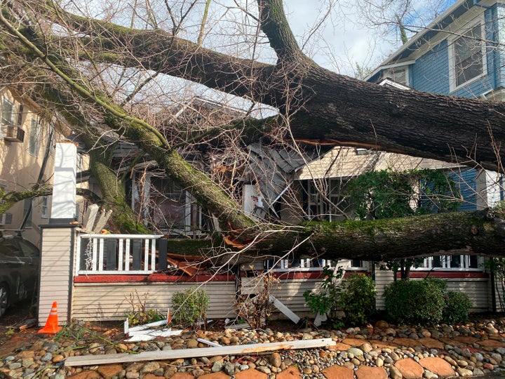 A tree collapsed and ripped up the sidewalk damaging a home in Sacramento, Calif., on Jan. 8, 2023. The National Weather Service warned of a “relentless parade of atmospheric rivers" — storms that are long plumes of moisture stretching out into the Pacific capable of dropping staggering amounts of rain and snow.