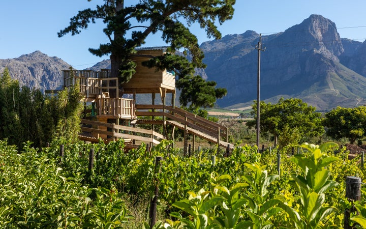 A treehouse is a nice new addition to the Love Island set