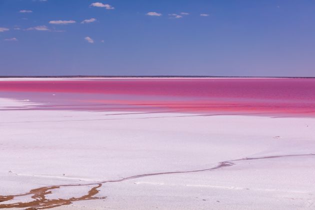 ピンク色の水面と塩に覆われるクリミア半島の腐海
