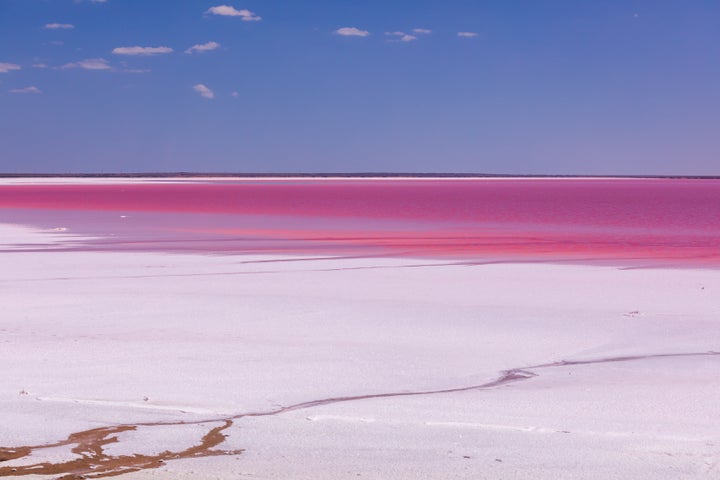 ピンク色の水面と塩に覆われるクリミア半島の腐海