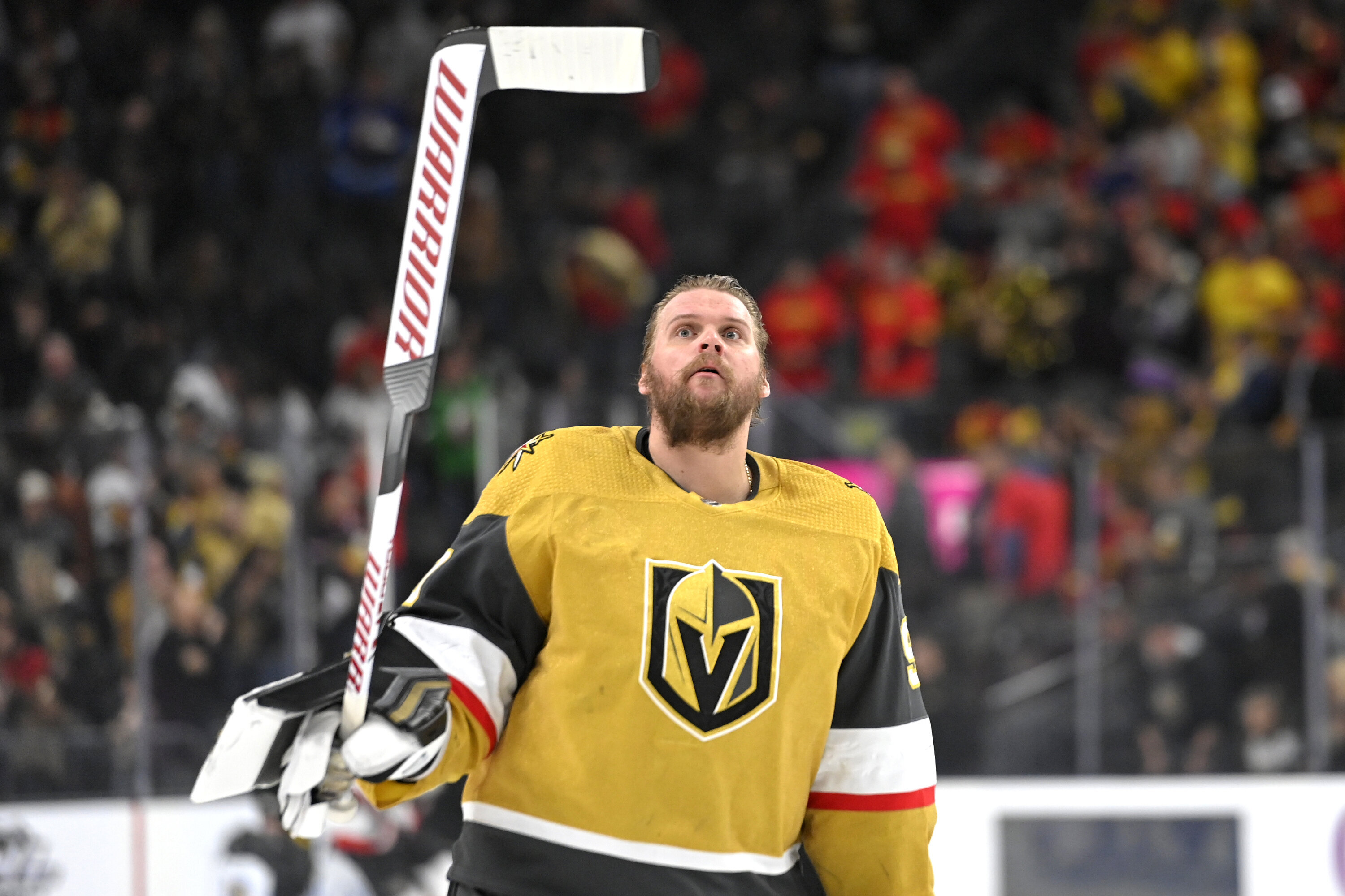 Vegas Golden Knights Goalie Robin Lehner Files For Bankruptcy ...