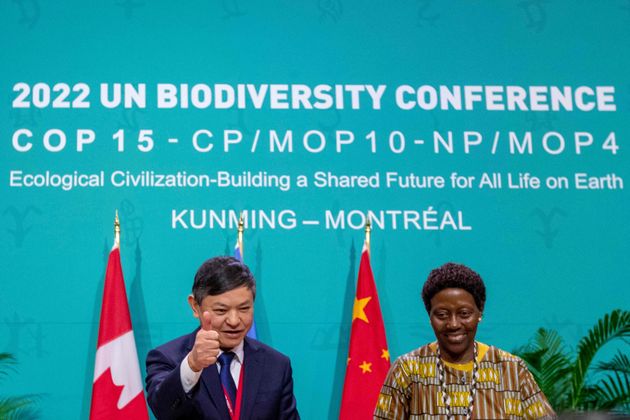 国連生物多様性条約のエリザベス・マルマ・ムレマ事務局長の横で親指を立てる中国の黄潤秋・生態環境部長