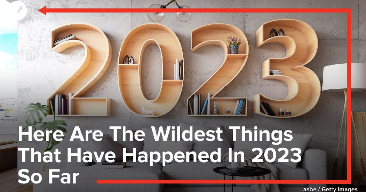Here Are The Wildest Things That Have Happened In 2023 So Far