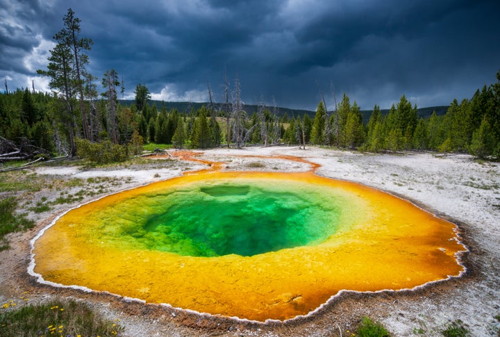 Yellowstone National Park