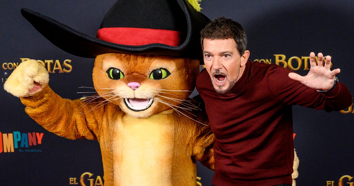 Antonio Banderas desvela el gran problema del sonido de los gatos al llevar zapatos