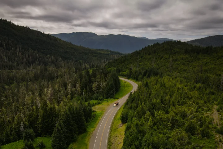 Biden reinstates logging bans