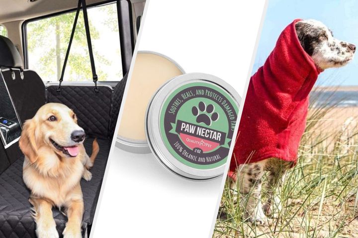 Get your hands on these essentials to avoid going barking mad