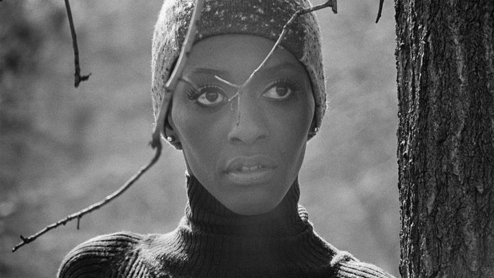"Invisible Beauty" is more of a tribute to Bethann Hardison's groundbreaking work as an iconic model and resilient activism than anything else, and neglects her complex personhood.