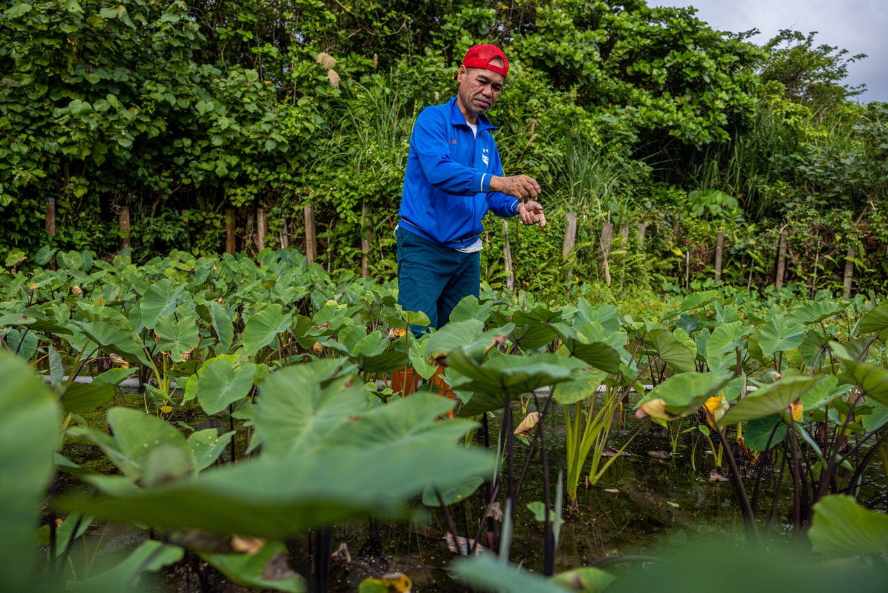 Syaman Lamuran, an activist who's opposed to the nuclear power plant waste dump, said Taiwanese politicians think the Tao could just move off the island.