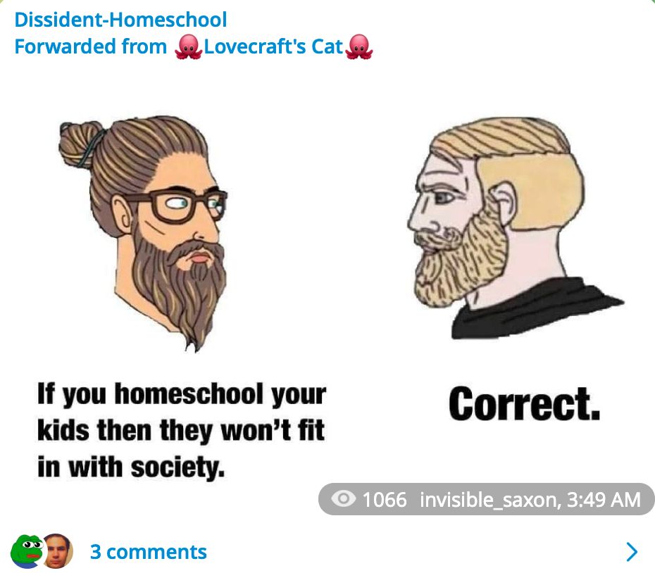 A meme posted to the Dissident Homeschool channel.