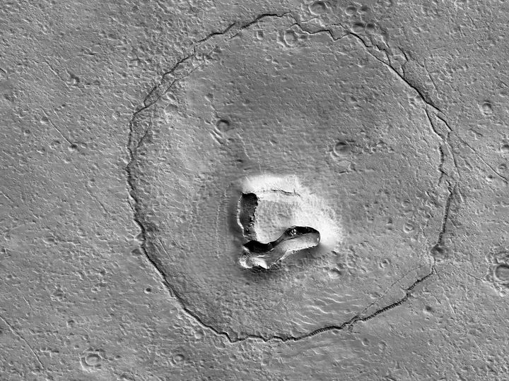 火星の地表面にある「巨大なクマ」の地形（NASAの探査機が撮影）