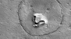 火星探査機が「巨大なクマ」を撮影。つぶらな瞳が可愛すぎる