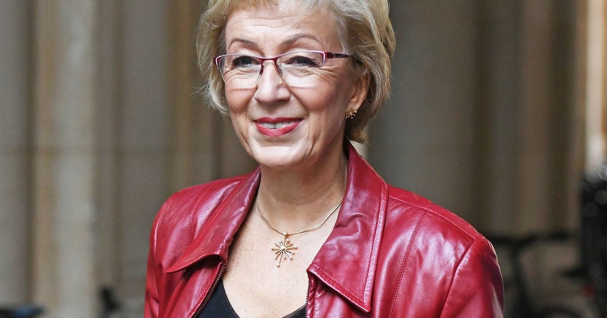 Andrea Leadsom Insists Brexit Will Be 'The Best Decision We Ever Made'