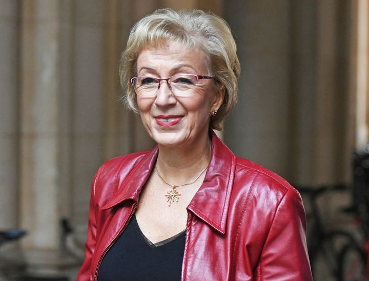 Tory MP and former minister Andrea Leadsom.