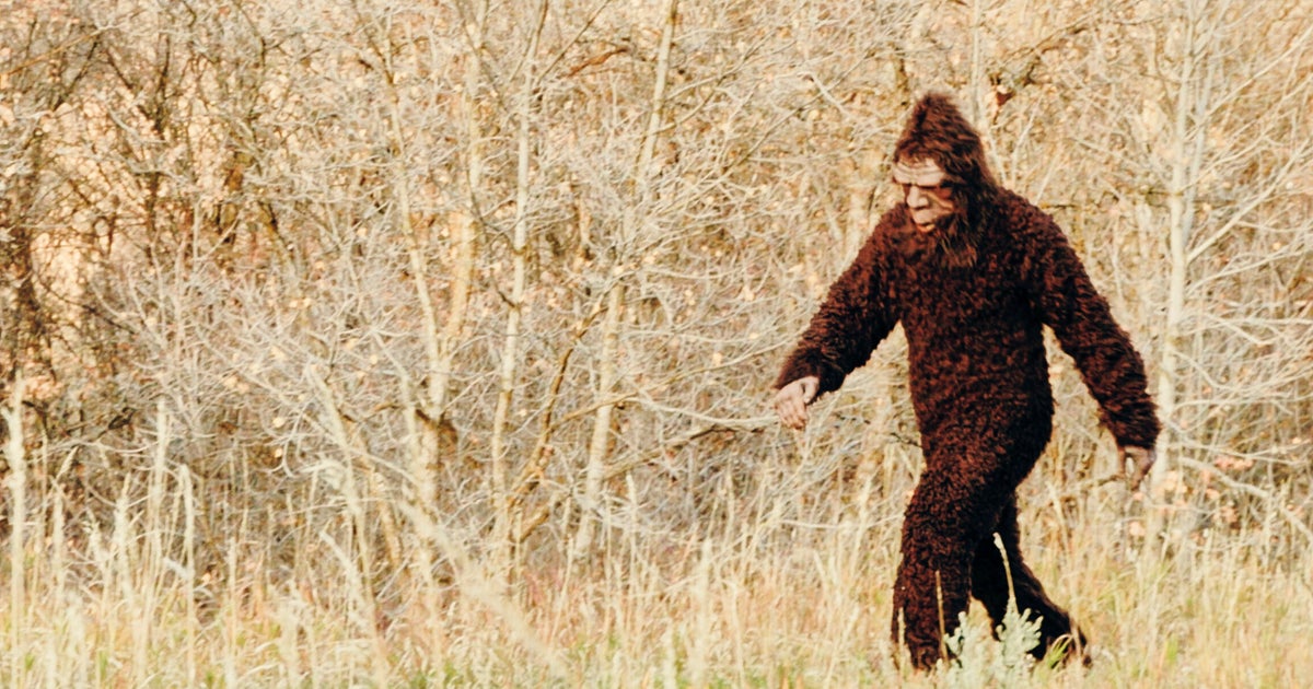 Researcher Thinks He Solved Bigfoot Mystery, And You Can Do The Math ...