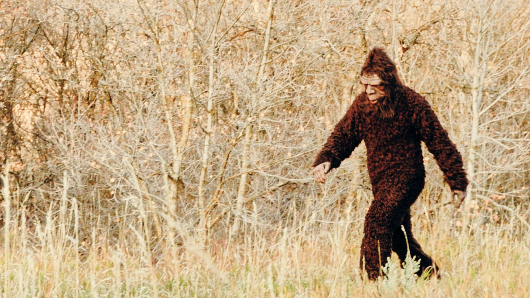 Bigfoot Encounter Leaves Man in Shock