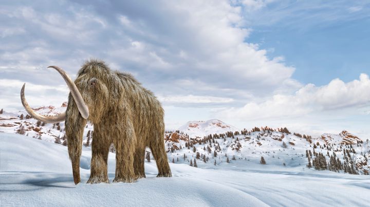 Woolly mammoth in a winter scene environment.
