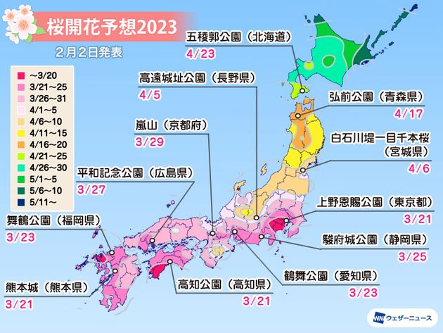 桜開花予想2023