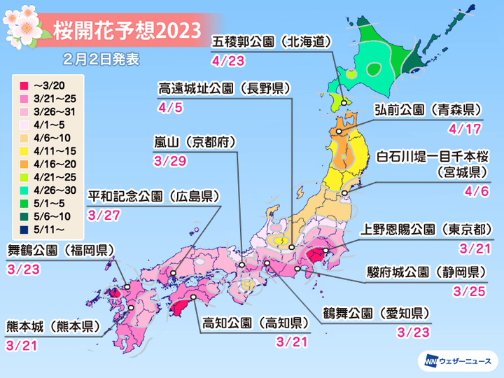 桜開花予想2023