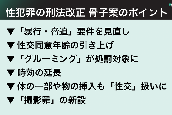 骨子案のポイント